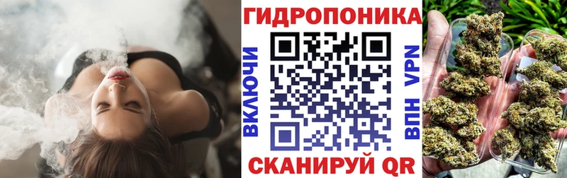 Сколько стоит Петушки Конопля  МЕФ  КОКАИН  Псилоцибиновые грибы  ГАШ  Альфа ПВП 