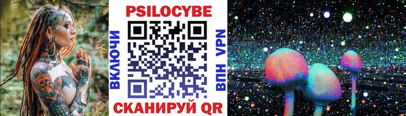 Псилоцибиновые грибы Psilocybe  Петушки 